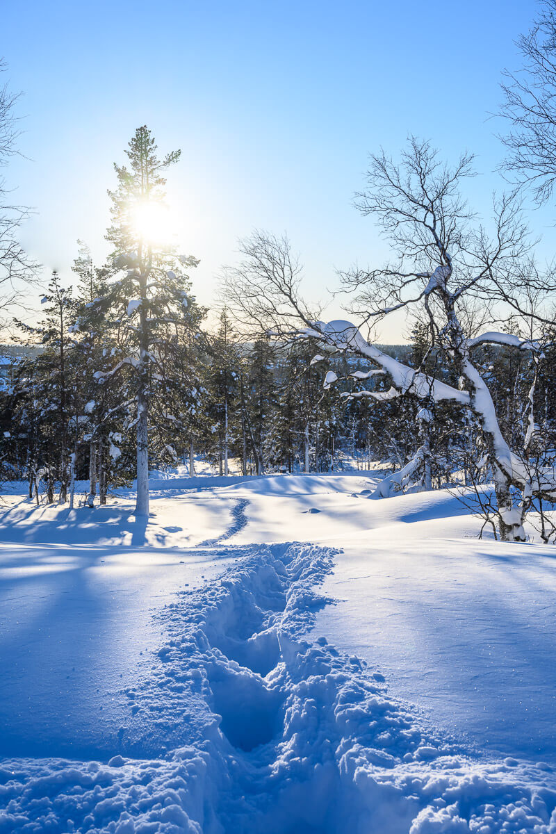 20190220_Nordlichter_Fotoreise_032