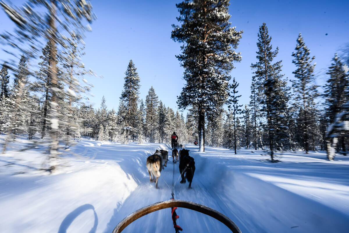 Lappland Fotoreise Fotografieren Nordlichter Lappland