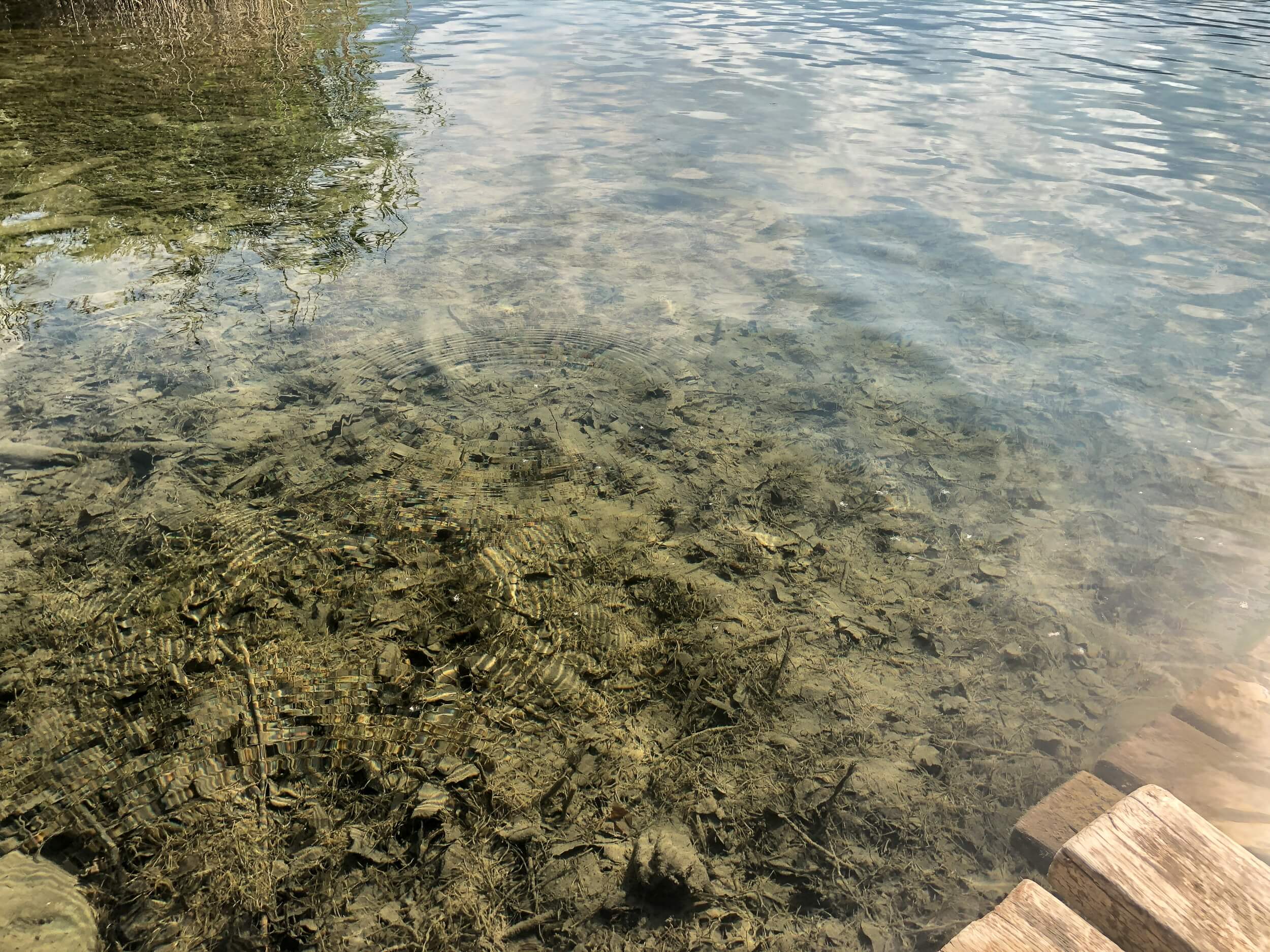 iPhone X mit Zirkularem Polfilter