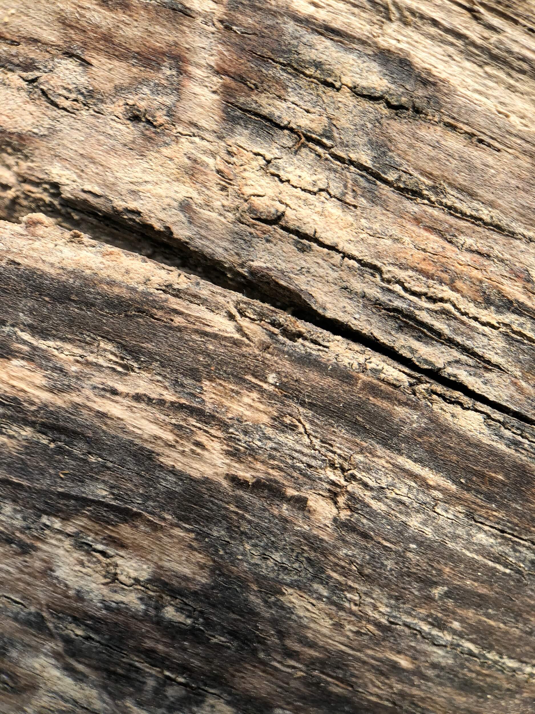 iPhone X mit Makrolinse