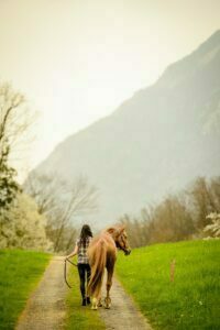 Outdoor Fotoshooting mit Pferd Pferdefotografie Zentralschweiz