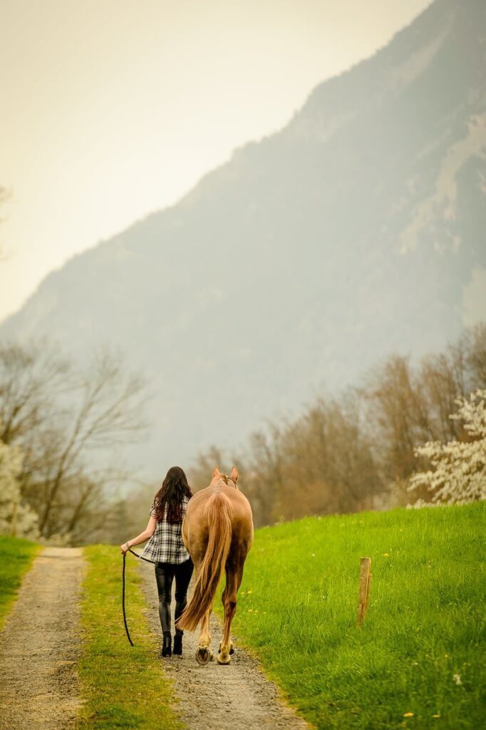 Outdoor Fotoshooting mit Pferd Outdoor Fotoshooting mit Pferd Pferdefotografie Zentralschweiz