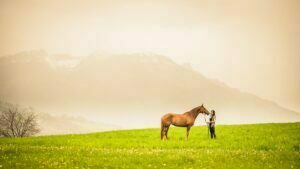 Outdoor Fotoshooting mit Pferd Pferdefotografie Zentralschweiz