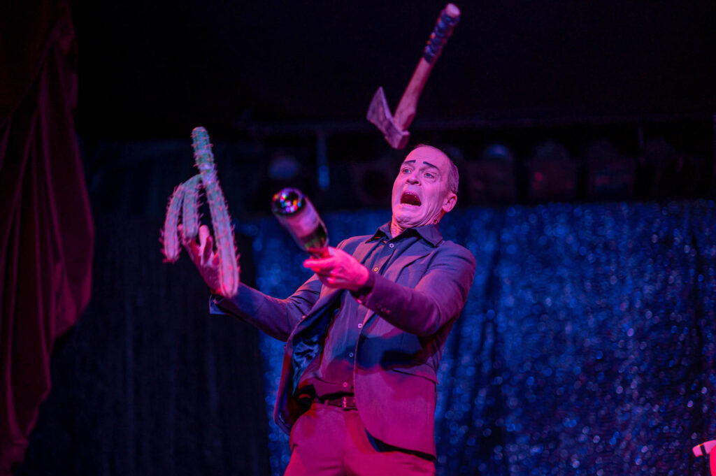 Bellis Weihnachts Variete