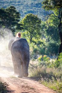 Safari Fotoreise in Mhonoro Lodge Südafrika