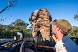 Safari Fotoreise in Mhonoro Lodge Südafrika