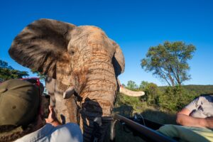 Safari Fotoreise in Mhonoro Lodge Südafrika