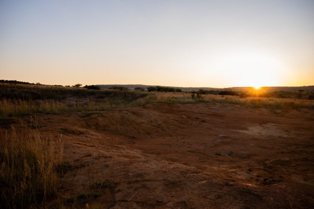 Safari Fotoreise in Mhonoro Lodge Südafrika