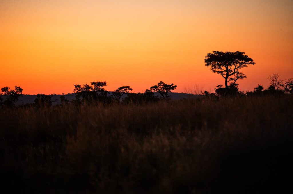 Safari Fotoreise in Mhonoro Lodge Südafrika