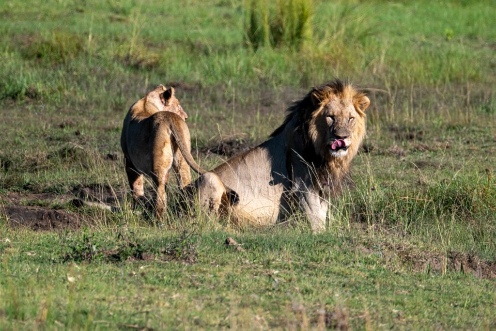 Safari Fotoreise in Mhonoro Lodge Südafrika