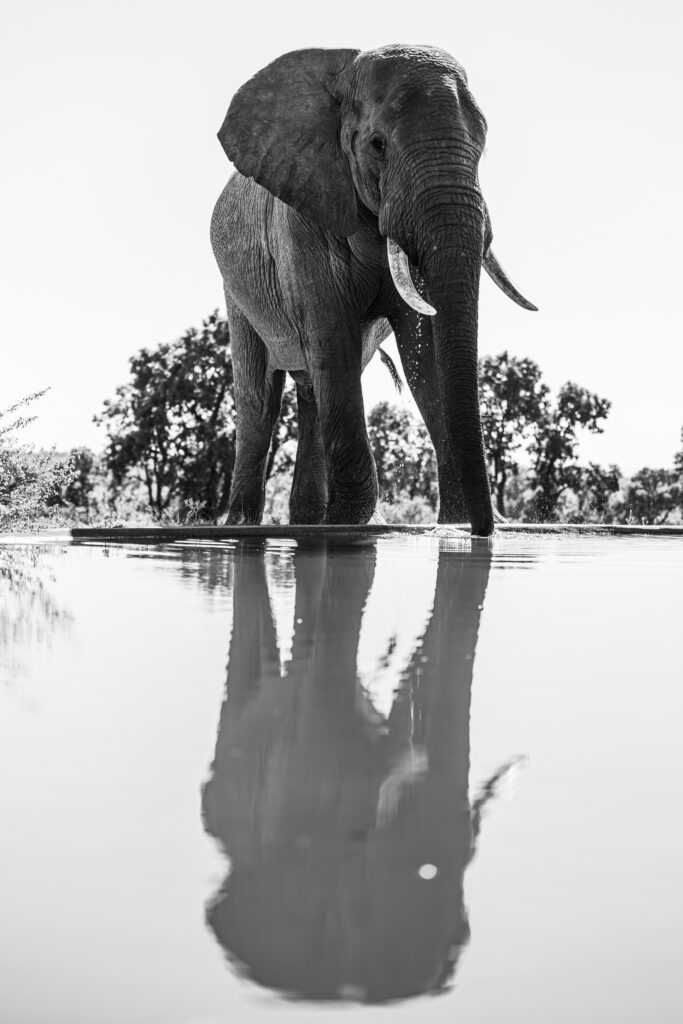 Safari Fotoreise in Mhonoro Lodge Südafrika