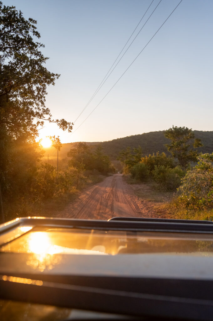 Safari Fotoreise in Mhonoro Lodge Südafrika