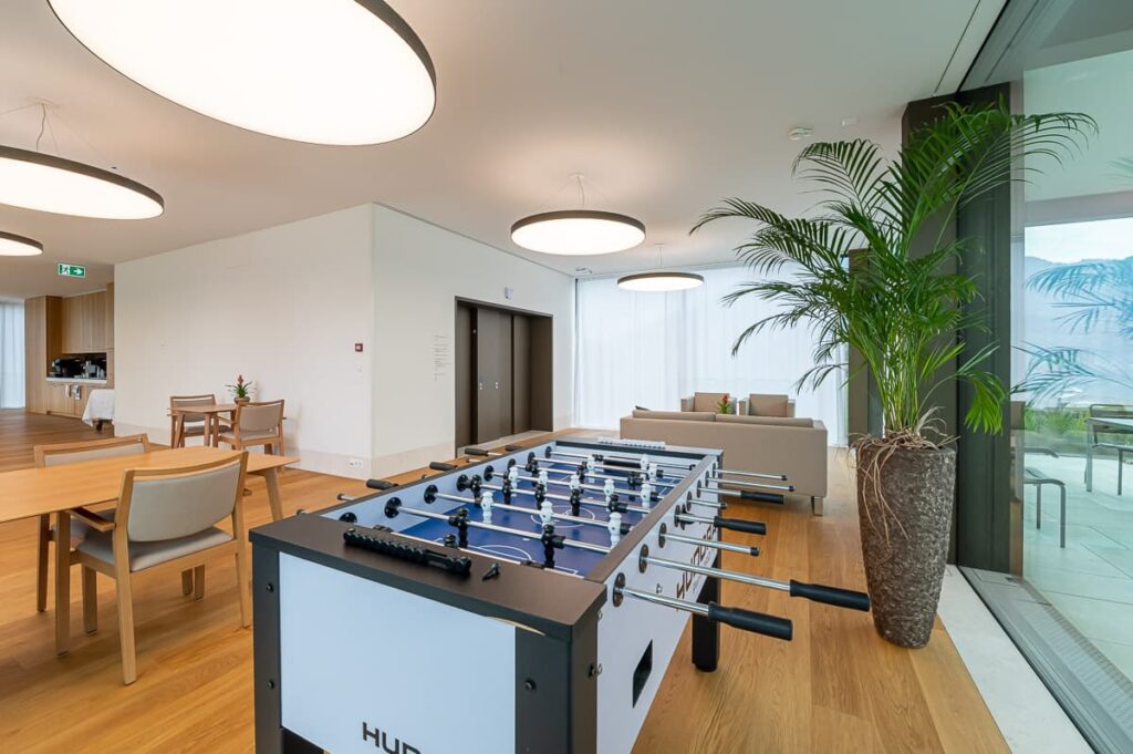 Cereneo Hertenstein Immobilien Fotografie