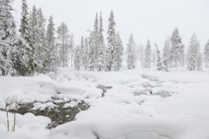 Nordlichter Fotoreise nach Lappland