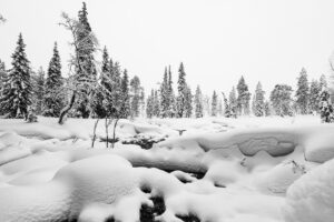 Nordlichter Fotoreise nach Lappland