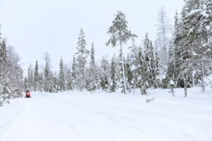 Nordlichter Fotoreise nach Lappland