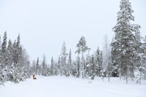 Nordlichter Fotoreise nach Lappland