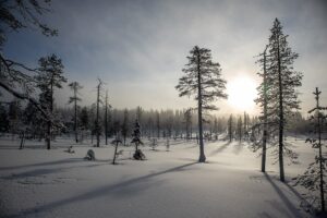 Nordlichter Fotoreise nach Lappland