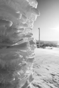 ©Arnautovic Izedin Izedin ch