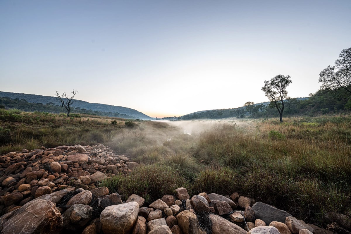 SafariFotoreiseWelgevonden
