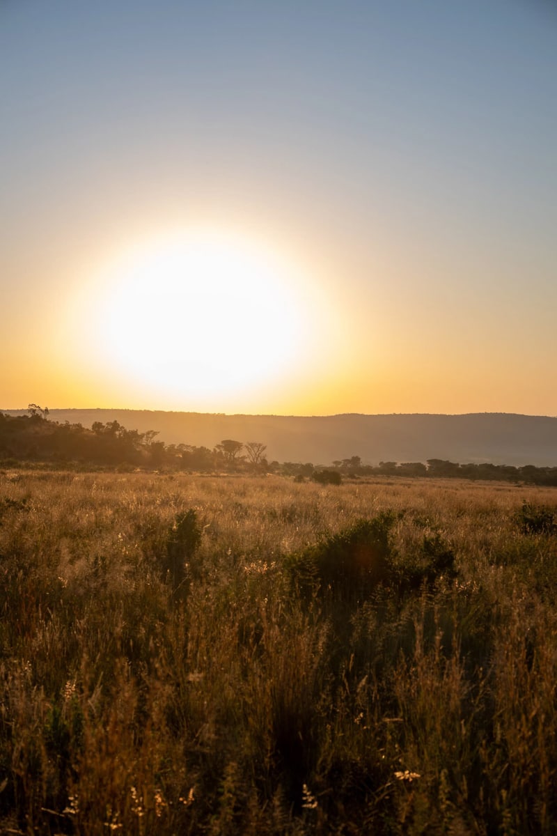 SafariFotoreiseWelgevonden