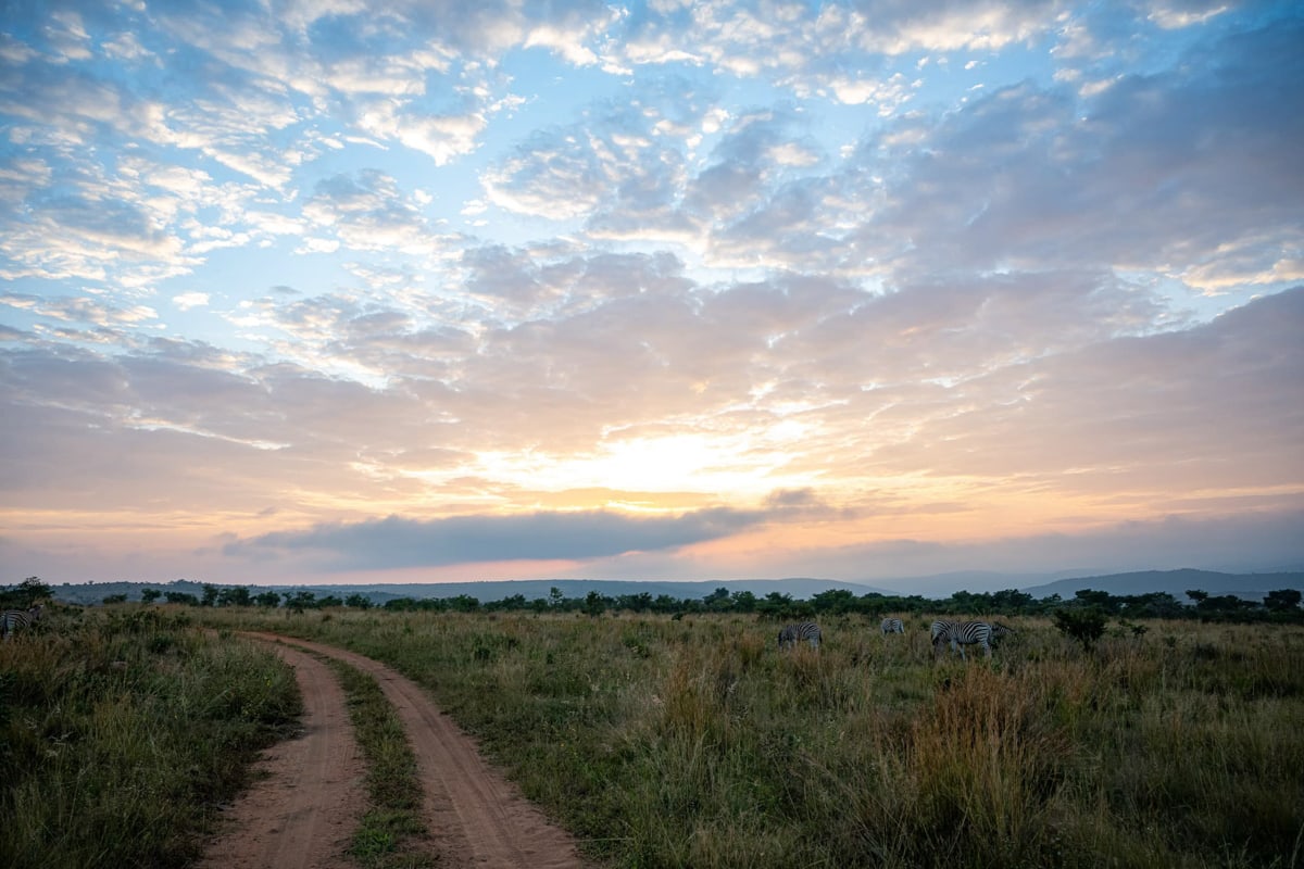 SafariFotoreiseWelgevonden