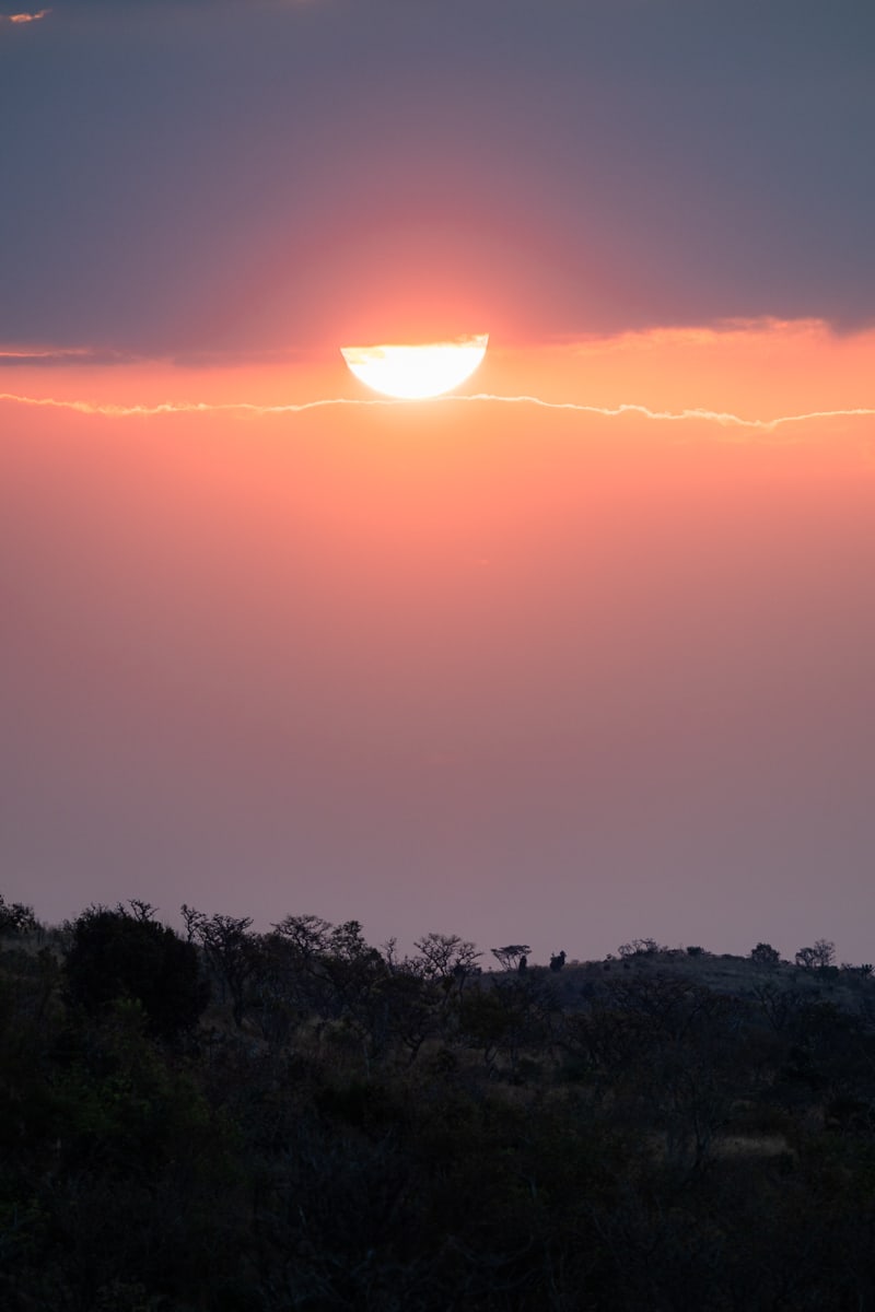 SafariFotoreiseWelgevonden